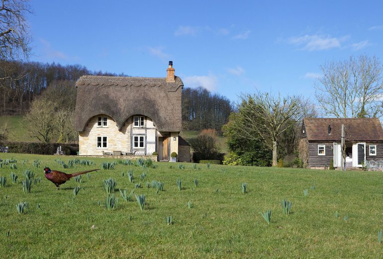 Field Cottage Thumbnail Image