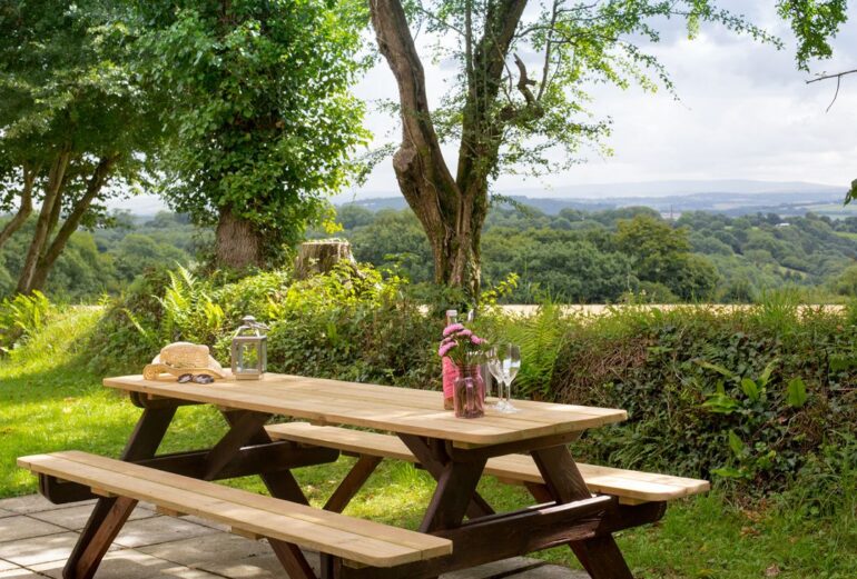 Dartmoor View Thumbnail Image