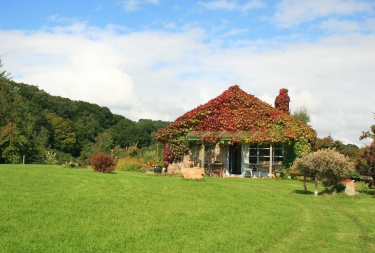 The Piggery Thumbnail Image