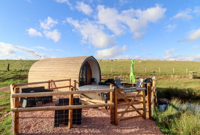 Gander Pod Thumbnail Image