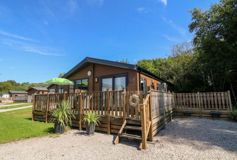 My Dream Thumbnail Image