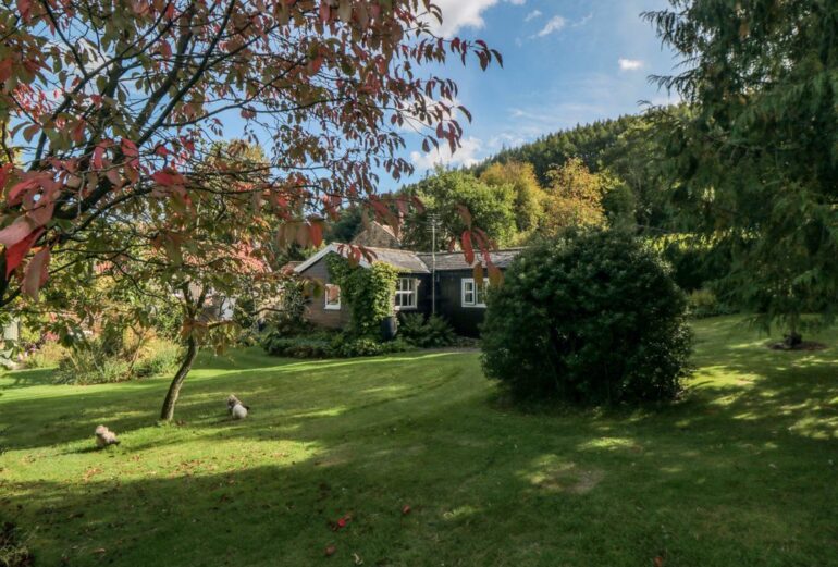 Damson Croft Thumbnail Image