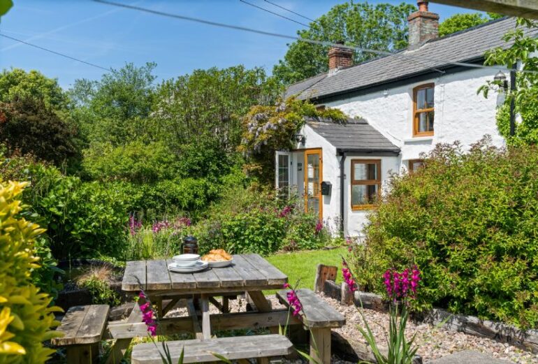 Hollow Tree Cottage Thumbnail Image